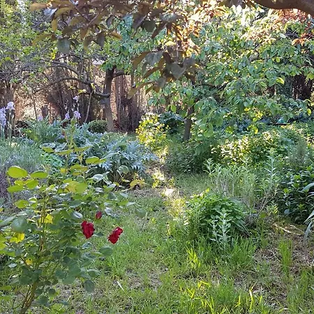 Villa Cambounet, Maison Cosy A Quelques Kilometres Des Plages Beziers